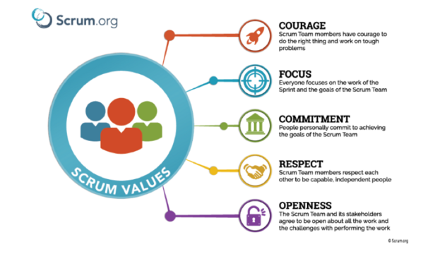 The scrum values