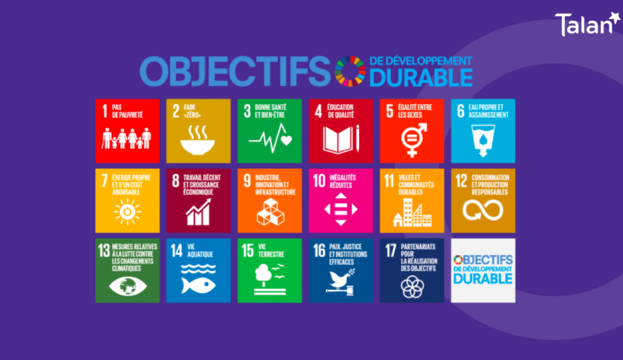 17 objectifs de développement durable de l'ONU